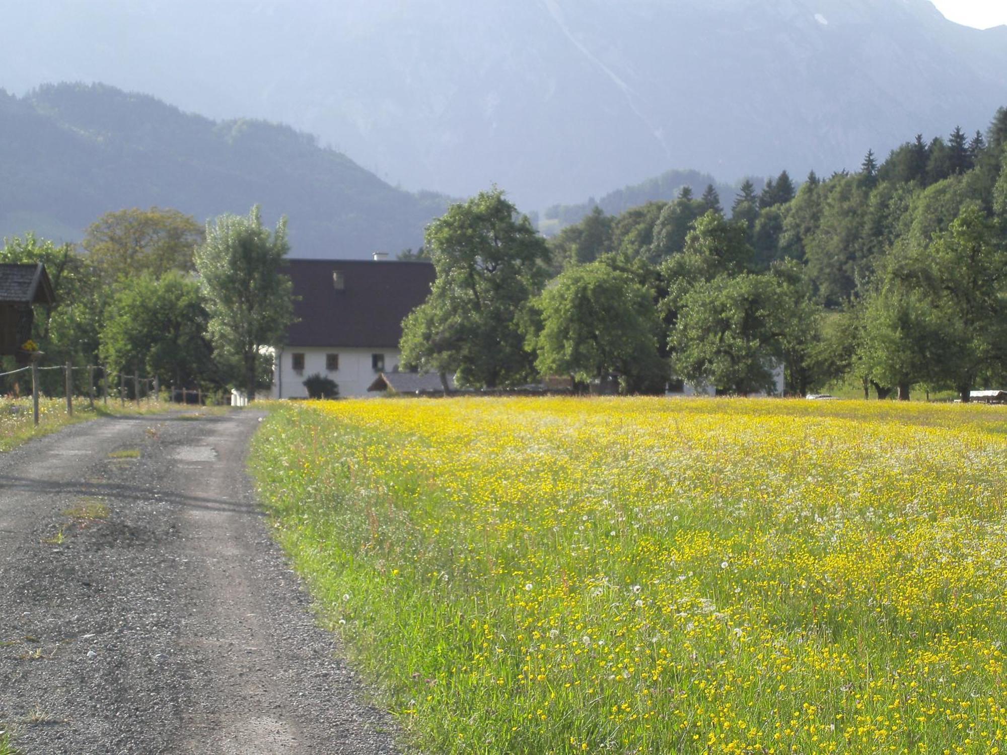 Haus Rieder Lägenhet Pfarrwerfen Exteriör bild
